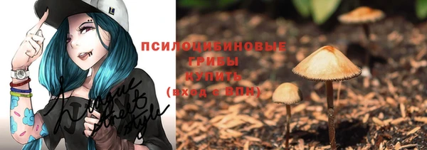 прущие крисы Арсеньев