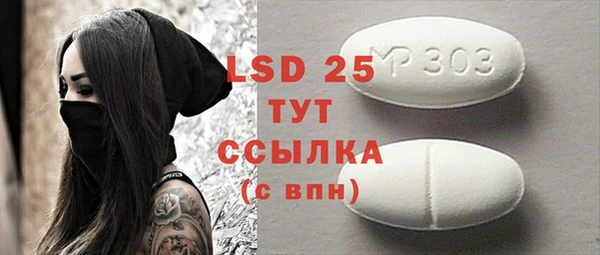 spice Аркадак