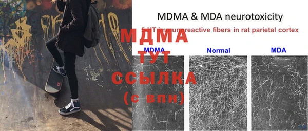 мяу мяу мука Армянск