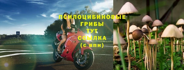 прущие крисы Арсеньев