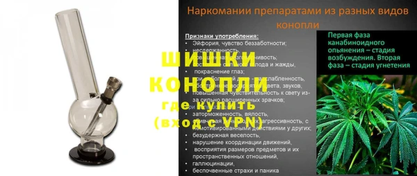 spice Аркадак