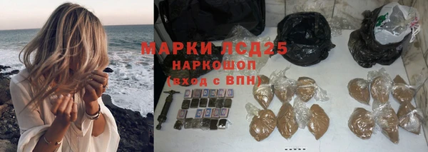 spice Аркадак